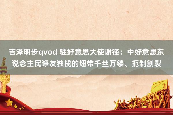 吉泽明步qvod 驻好意思大使谢锋：中好意思东说念主民诤友独揽的纽带千丝万缕、扼制割裂