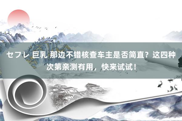 セフレ 巨乳 那边不错核查车主是否简直？这四种次第亲测有用，快来试试！