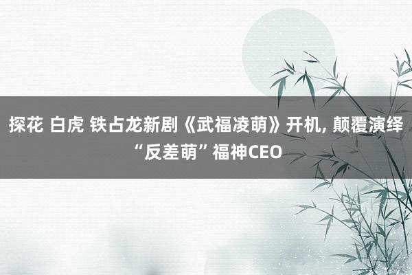 探花 白虎 铁占龙新剧《武福凌萌》开机, 颠覆演绎“反差萌”福神CEO