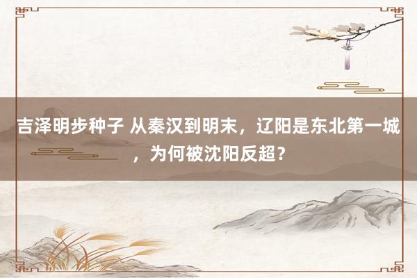 吉泽明步种子 从秦汉到明末，辽阳是东北第一城，为何被沈阳反超？